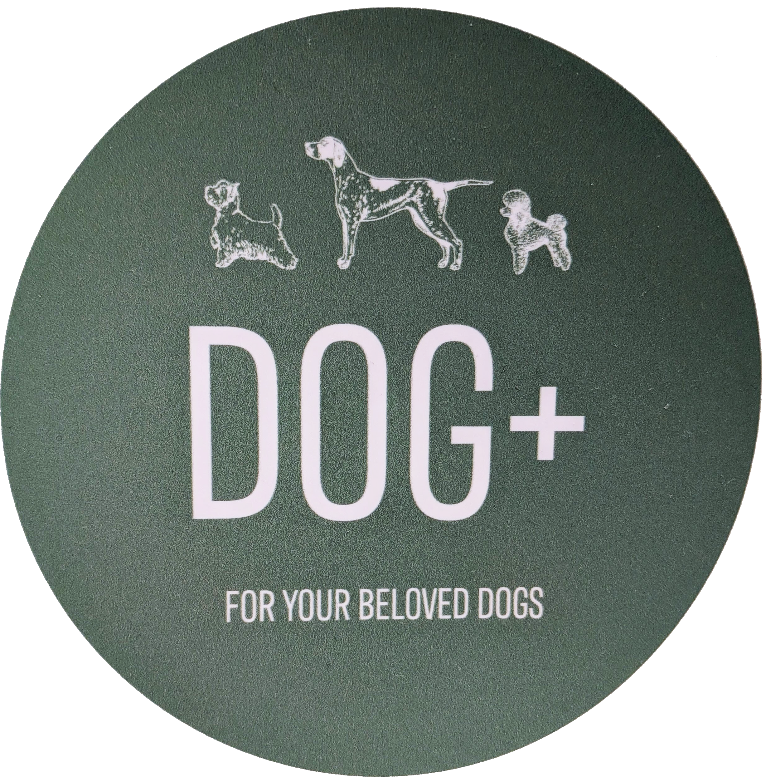 DOG＋